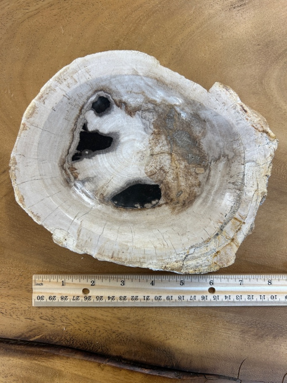Petrified Wood Decorative Bowl - Picture 12 of 17